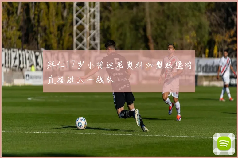 拜仁17岁小将达尼奥科加盟狼堡将直接进入一线队